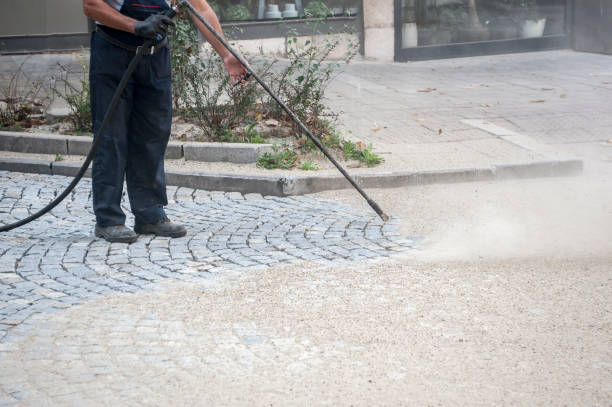 Best Soft Washing for Delicate Surfaces in Haubstadt, IN
